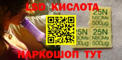 индика Гусь-Хрустальный