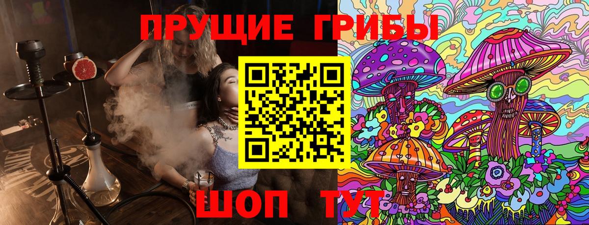 Псилоцибиновые грибы GOLDEN TEACHER Елизово