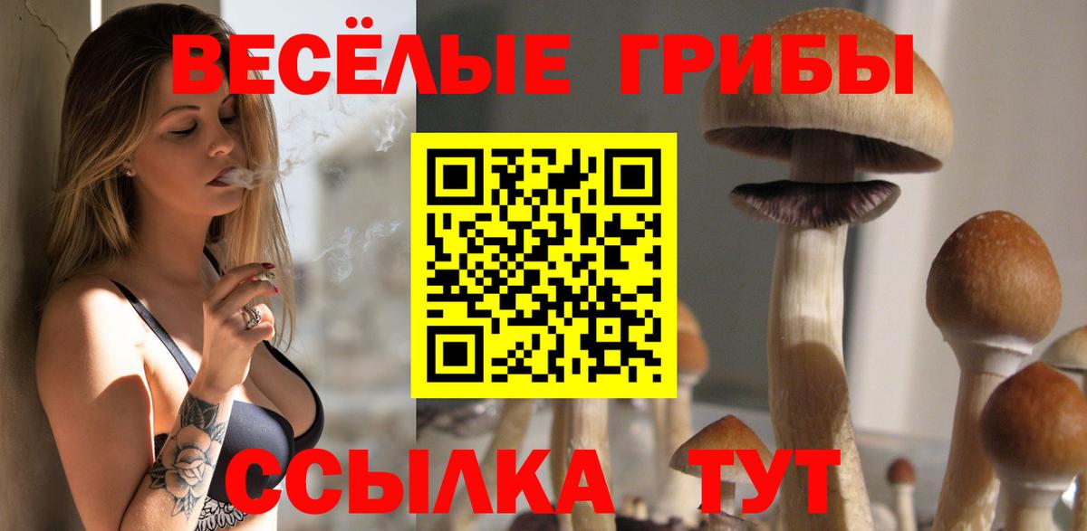 Галлюциногенные грибы прущие грибы  Галлюциногенные грибы мицелий  Вход с VPN  как найти наркотики  Елизово 
